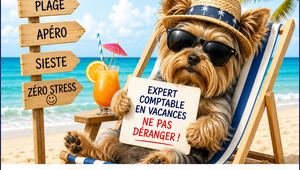 Chien dans un transat avec une pancarte "Expert comptable en vacances Ne pas déranger !"